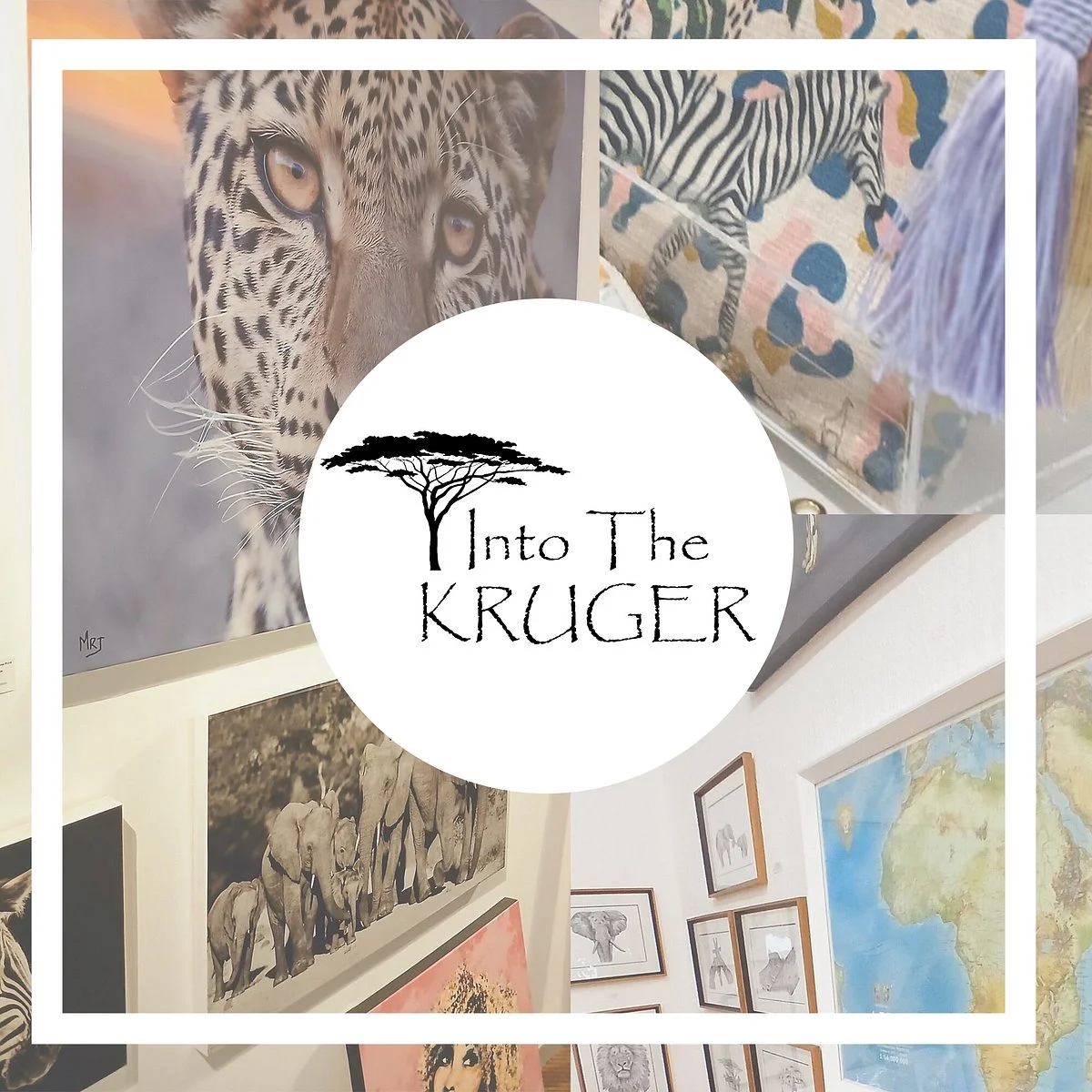 Into The Kruger Wildlife Gallery