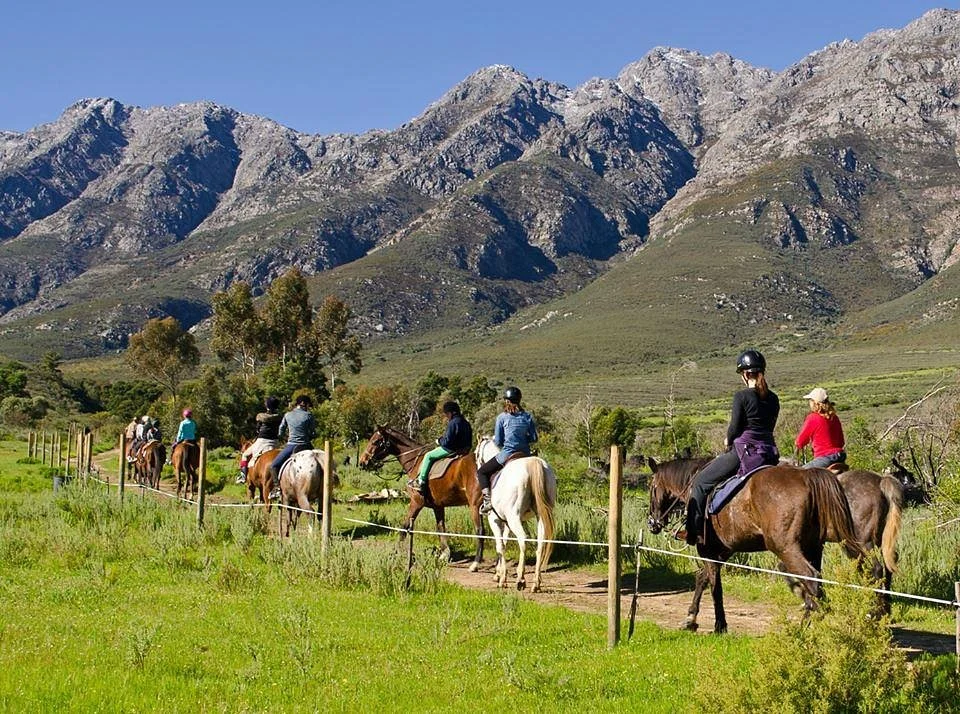 Horse About Trails