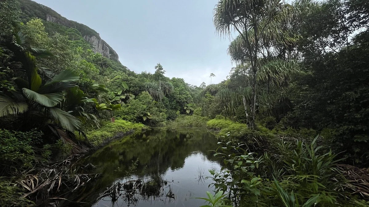 Mare aux Cochons Trail