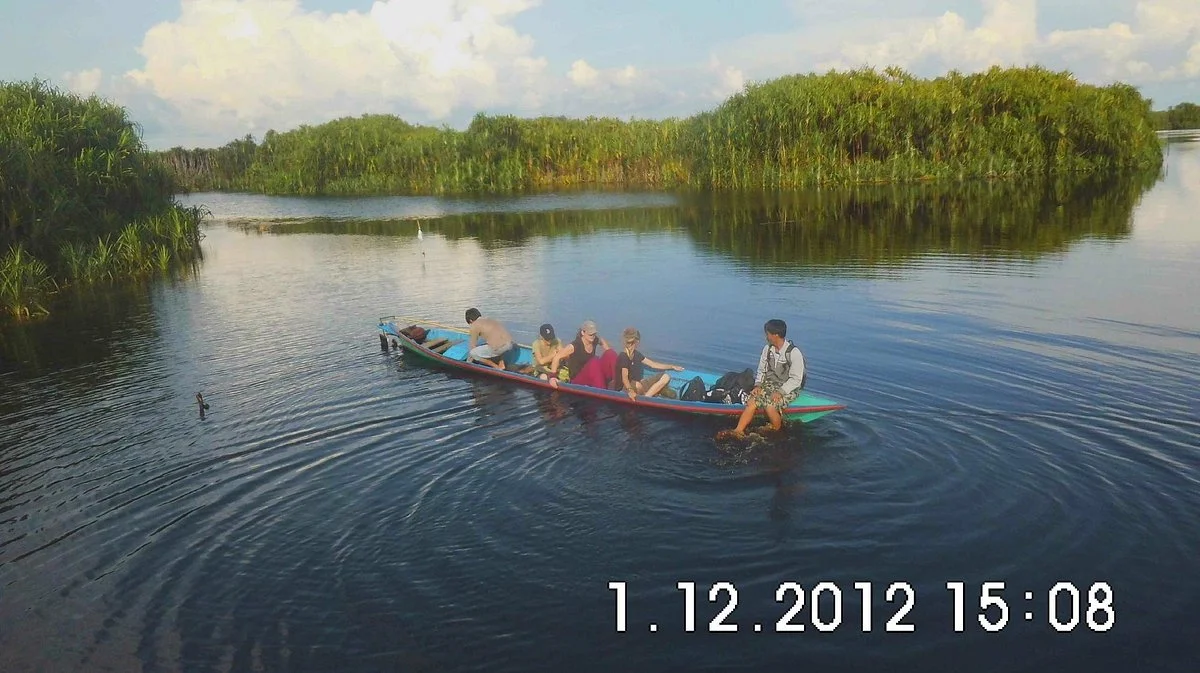 Sebangau National Park Central Kalimantan