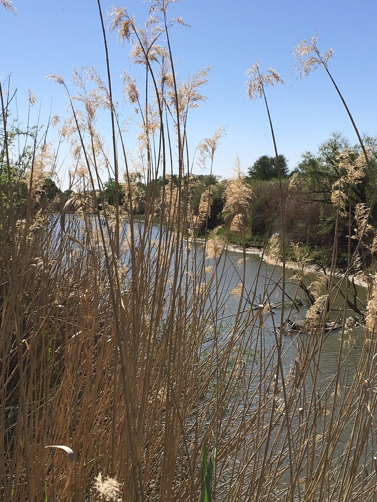 Soetdoring Nature Reserve