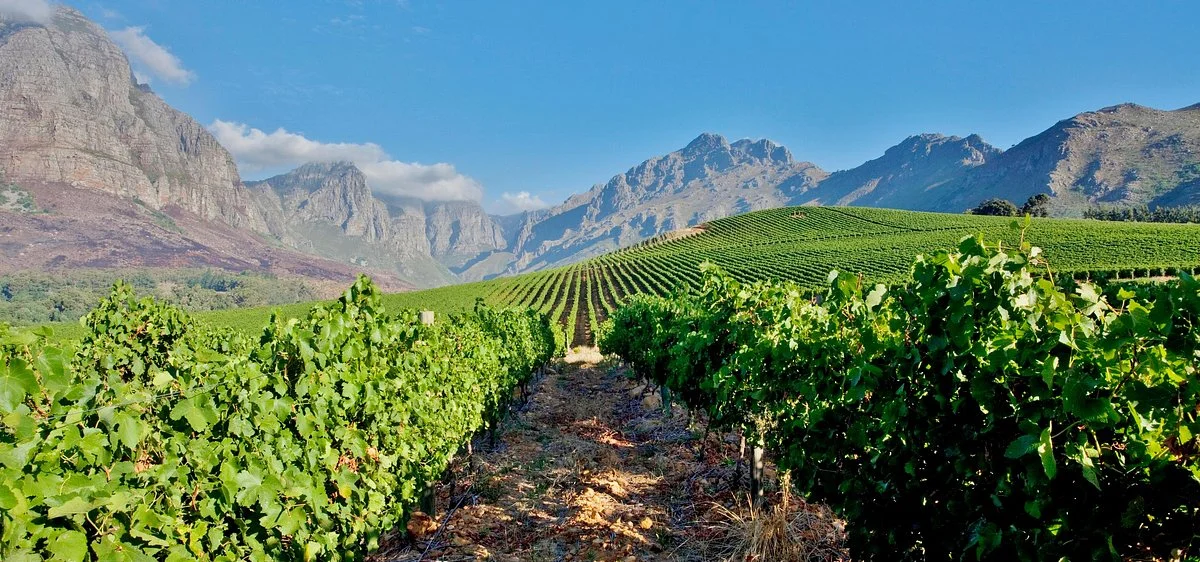 Oldenburg Vineyards