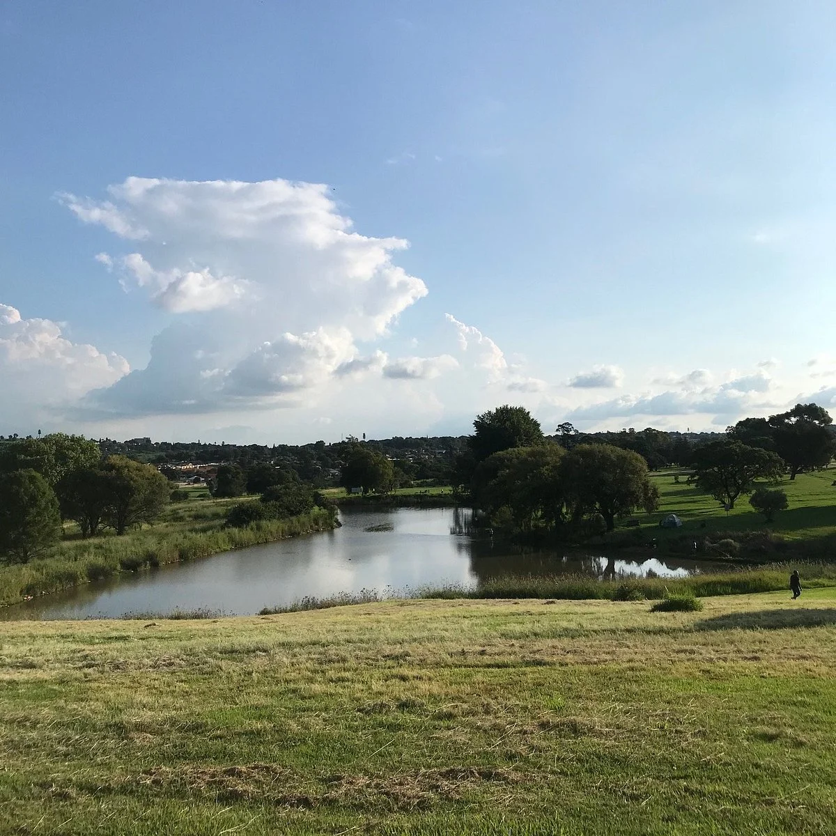 Alberts Farm