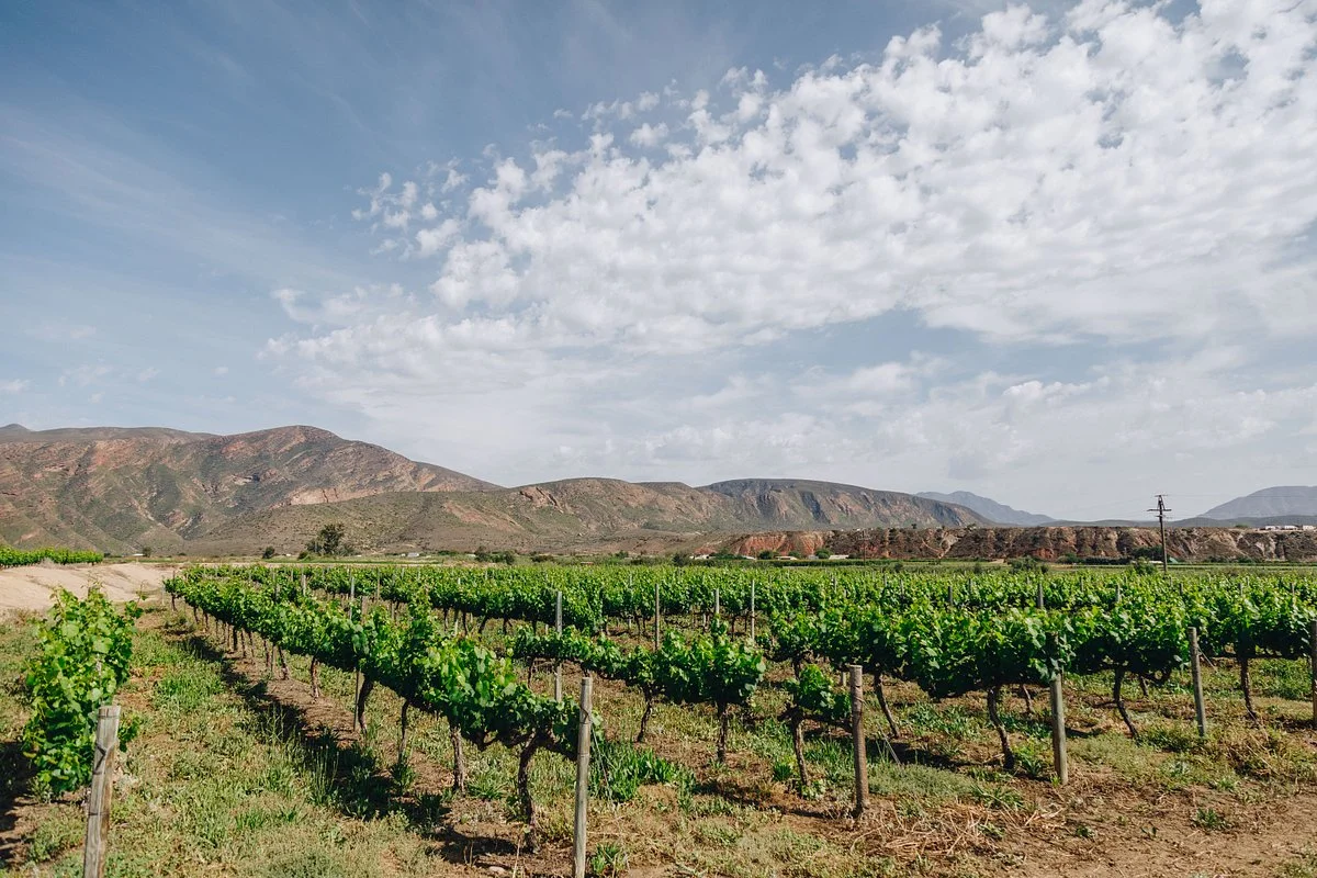 De Krans Wines