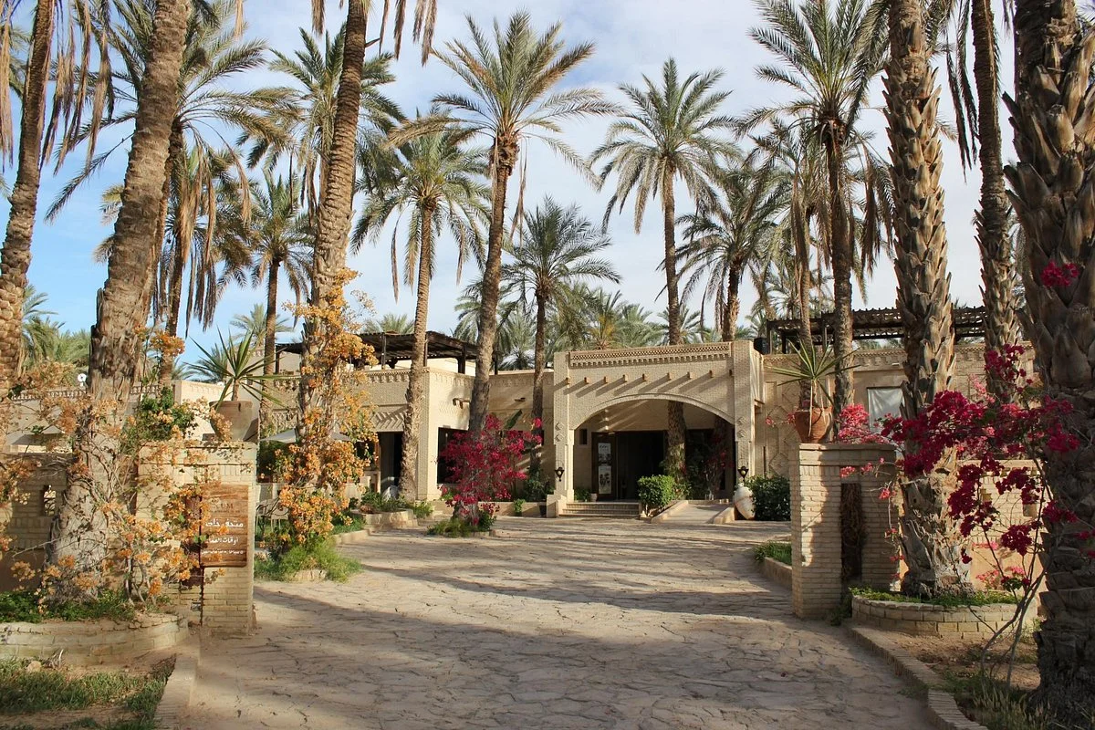 Eden Palm Tresors de l'Oasis