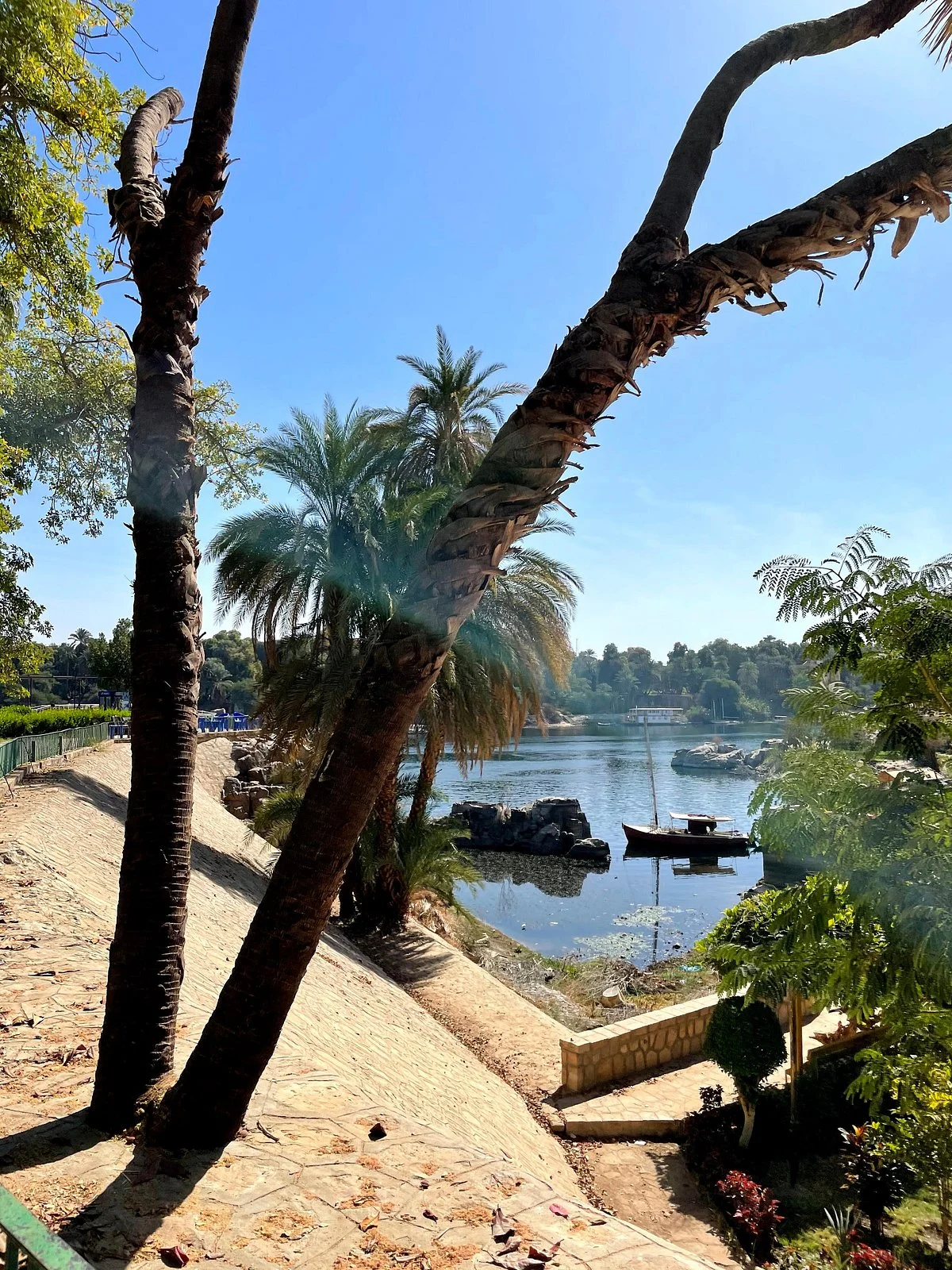 Aswan Botanical Garden