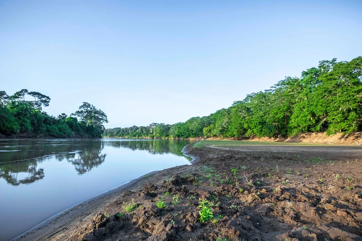 Tana River Primate Reserve