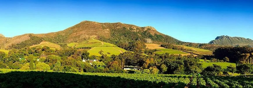 Constantia Valley