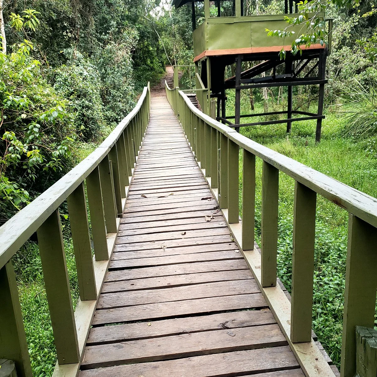 Saiwa Swamp National Park