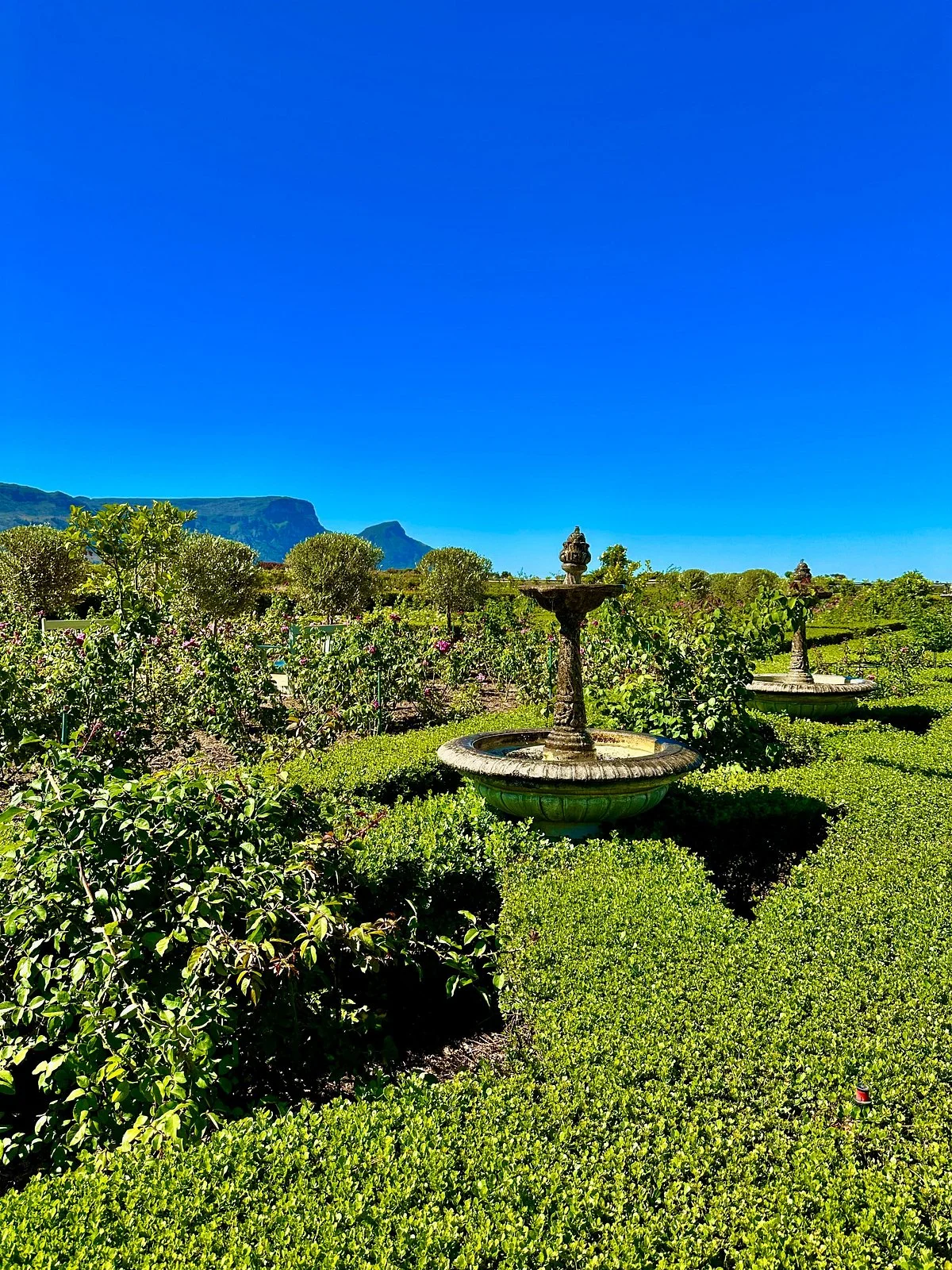 Constantia Uitsig Wine Estate