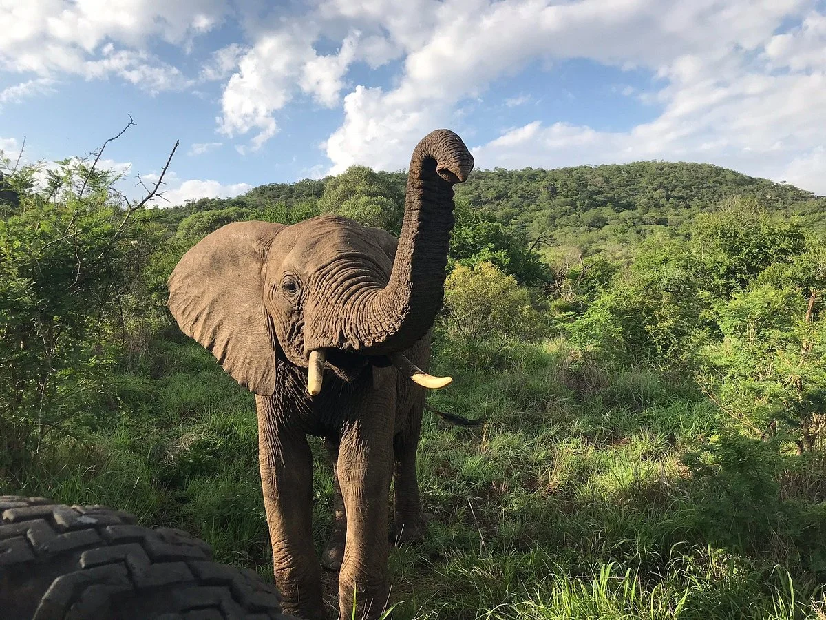 Mkuze Falls Private Game Reserve