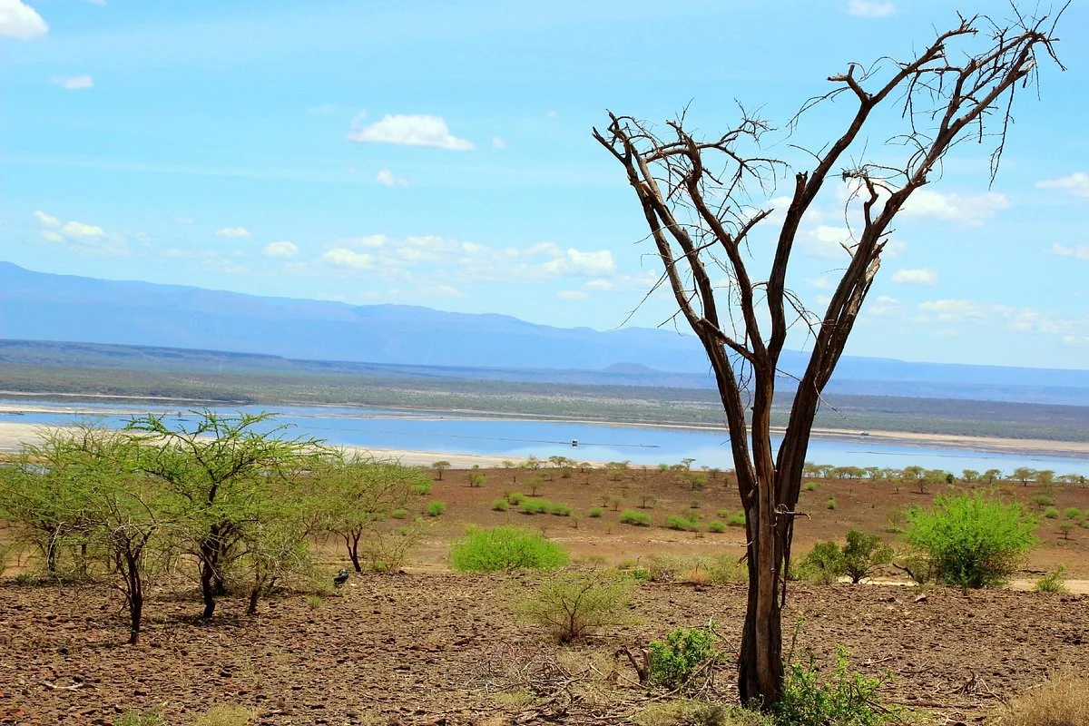 Lake Magadi Conservancy