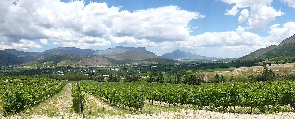 Dieu Donne Vineyards & Tasting Room