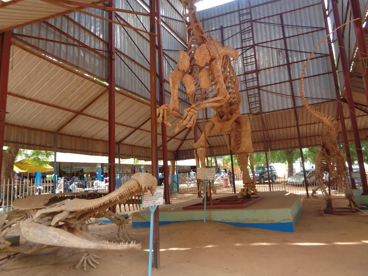 National Museum of Niger (Musée National du Niger)