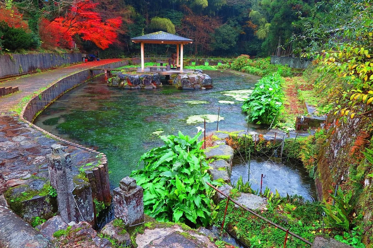 Hongu Izumi Spring