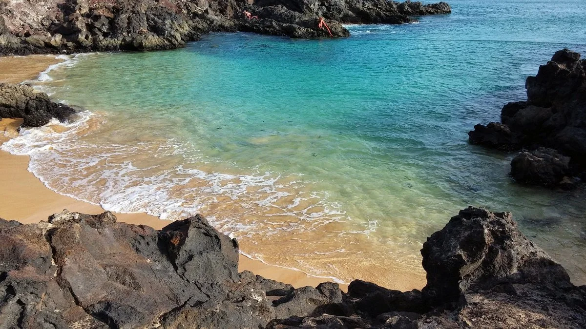 Comfortless Cove