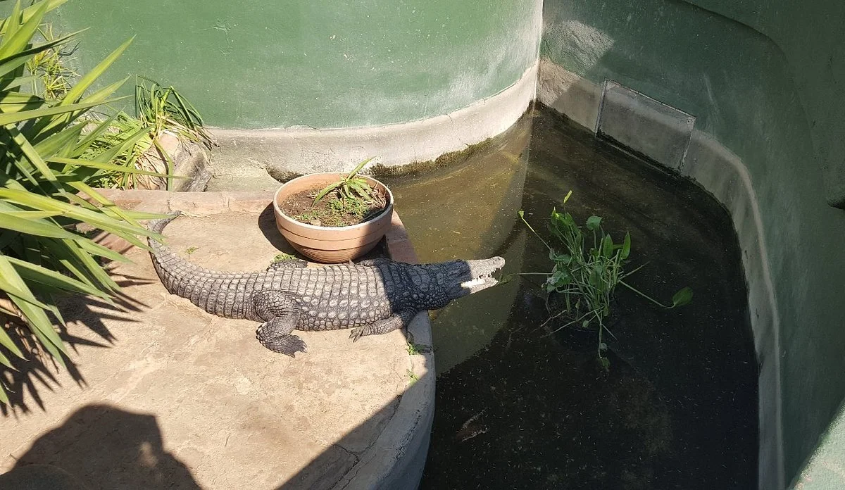 Hartbeespoort Aquarium
