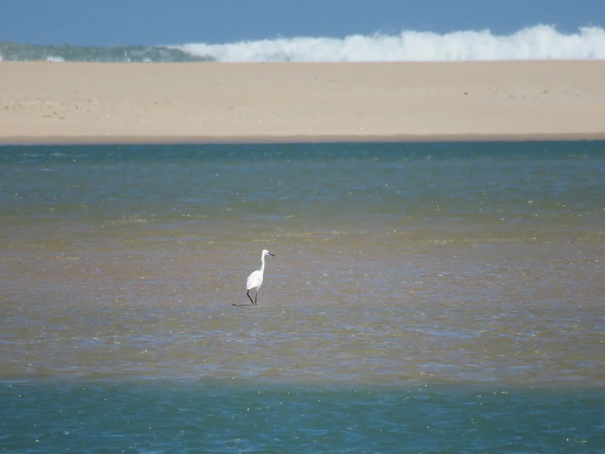 Sundays River Mouth and Beach