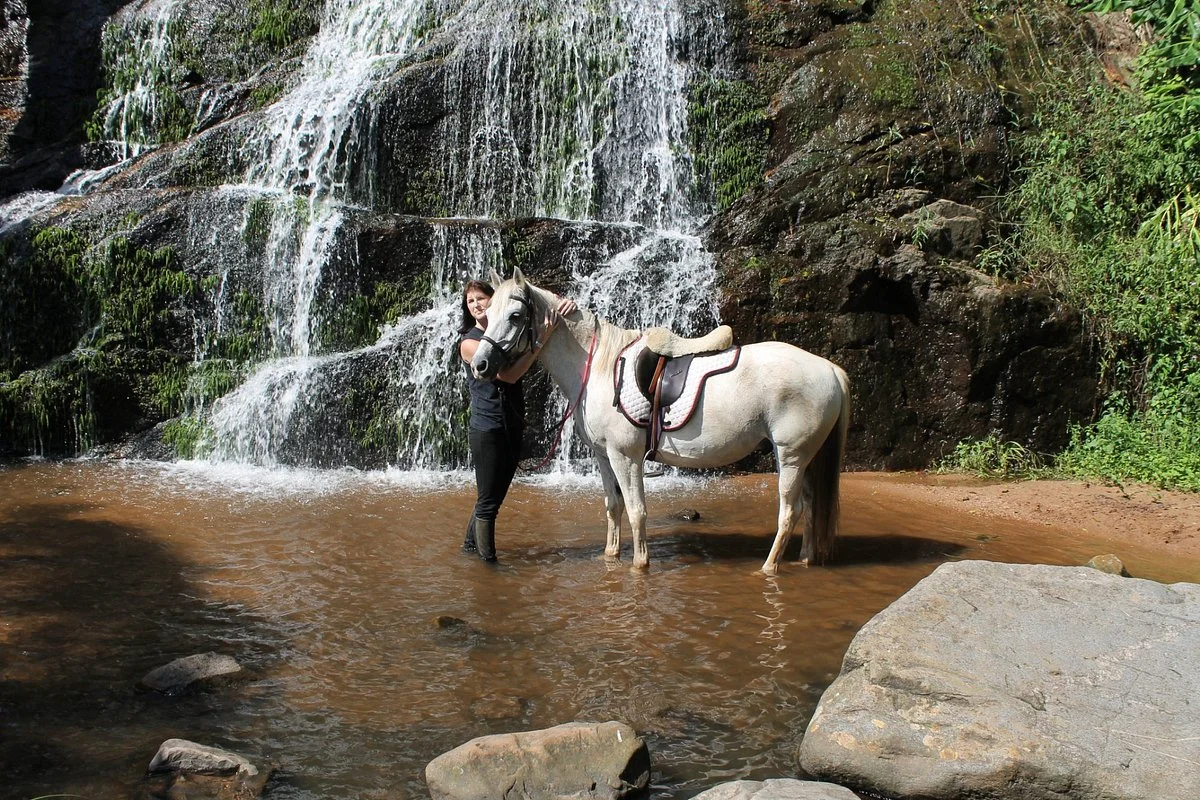 Giba Gorge Horse Trails