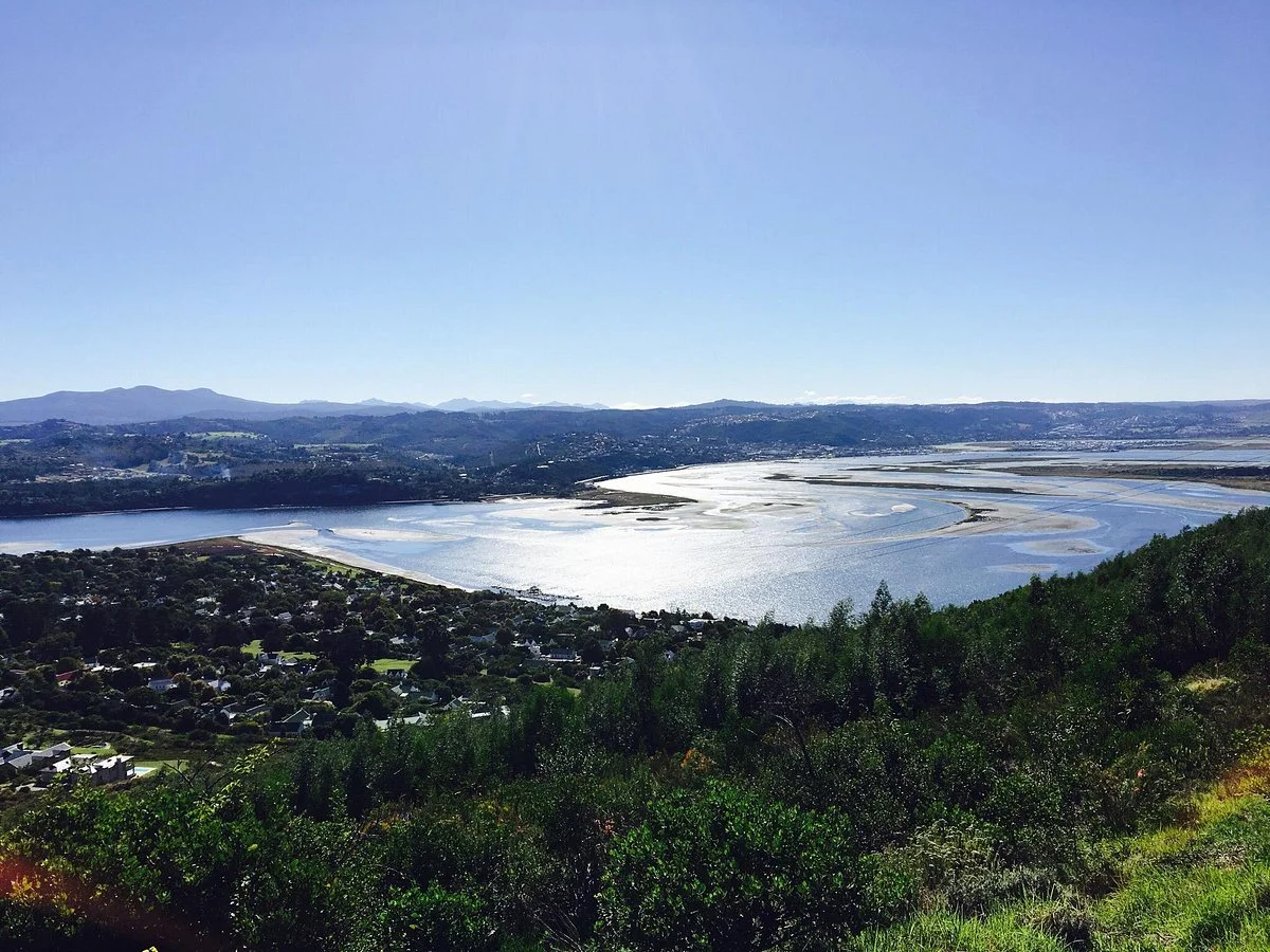 Margaret's Viewpoint