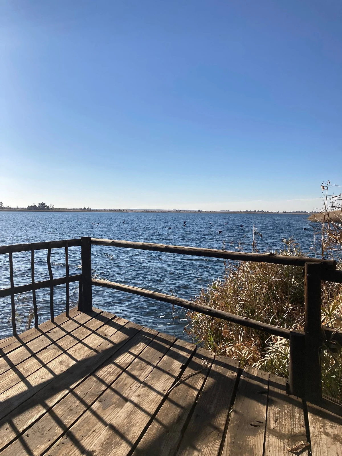 Boskop Dam Nature Reserve