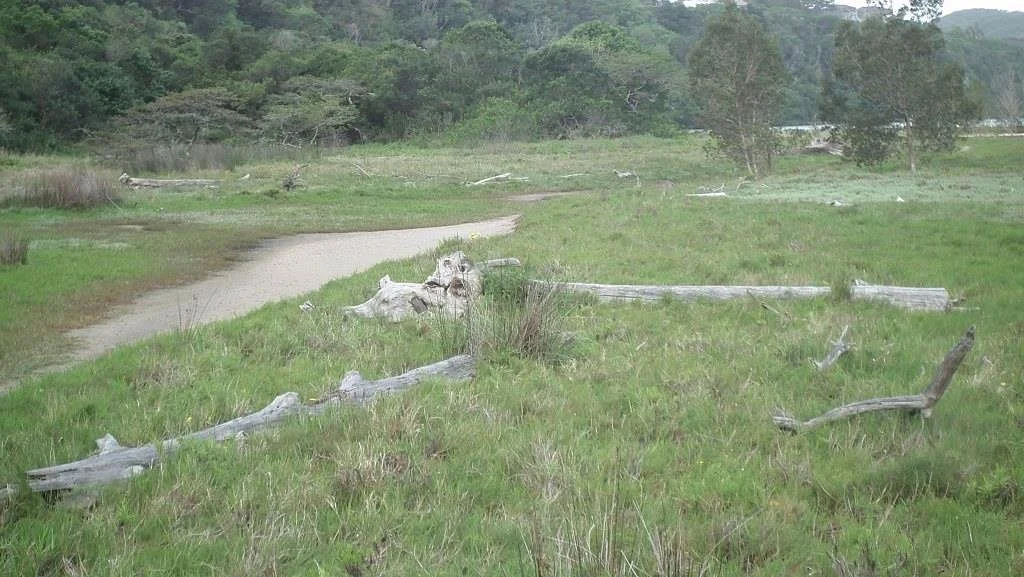 Nahoon Estuary Nature Reserve
