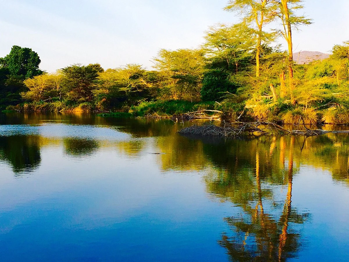 Mzima Springs
