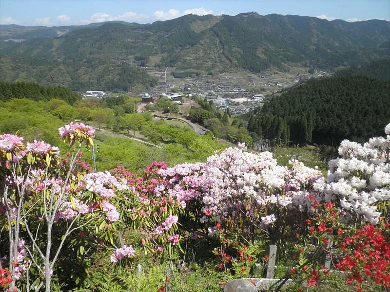 Hoshino Hana Park