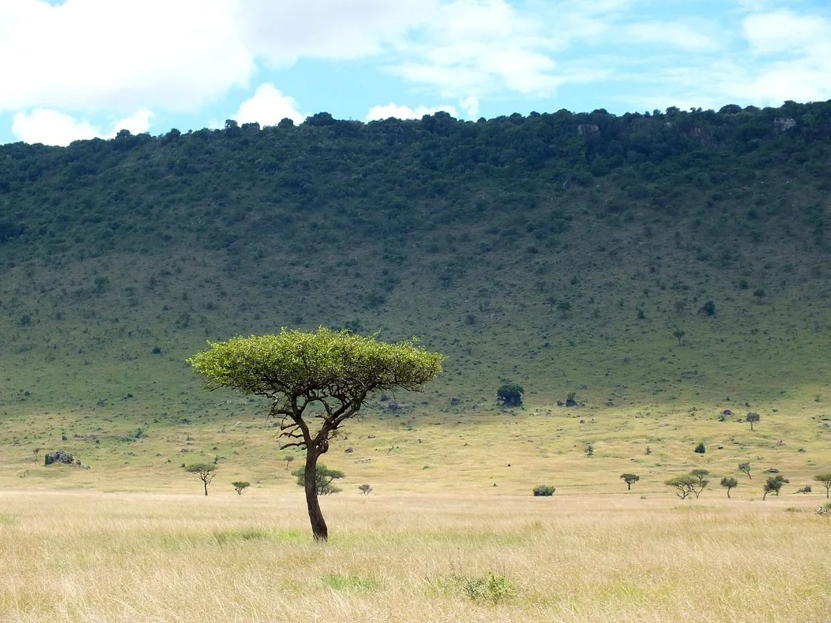 Eluai Plain
