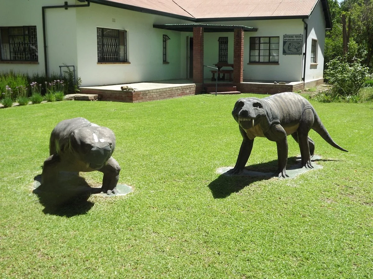 Kitching Fossil Exploration Centre