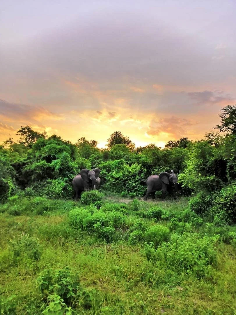 Majete Wildlife Reserve