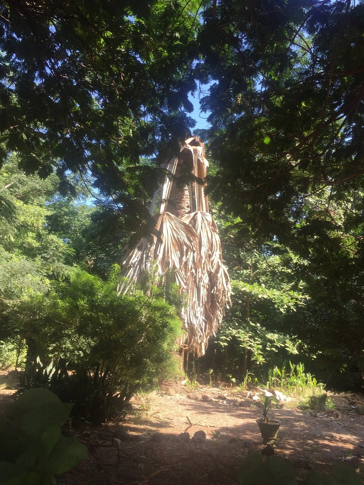 Bakau's Botanical Gardens