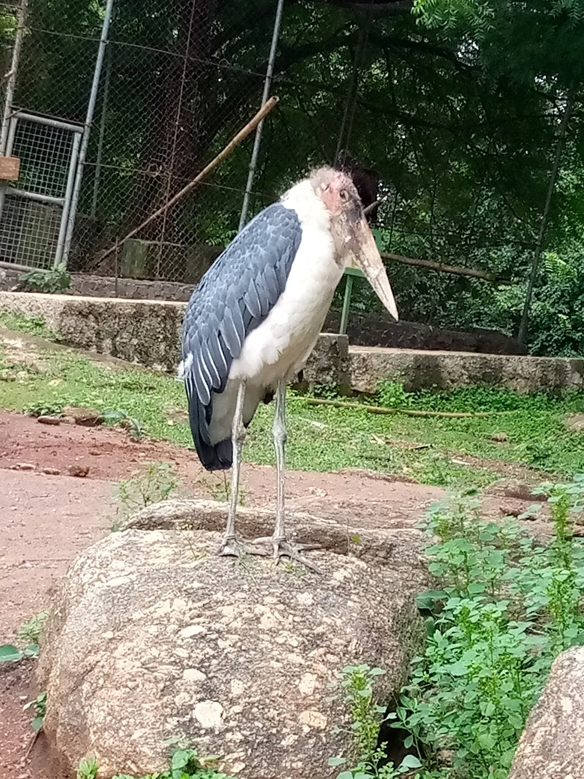 OOPL Wildlife Park