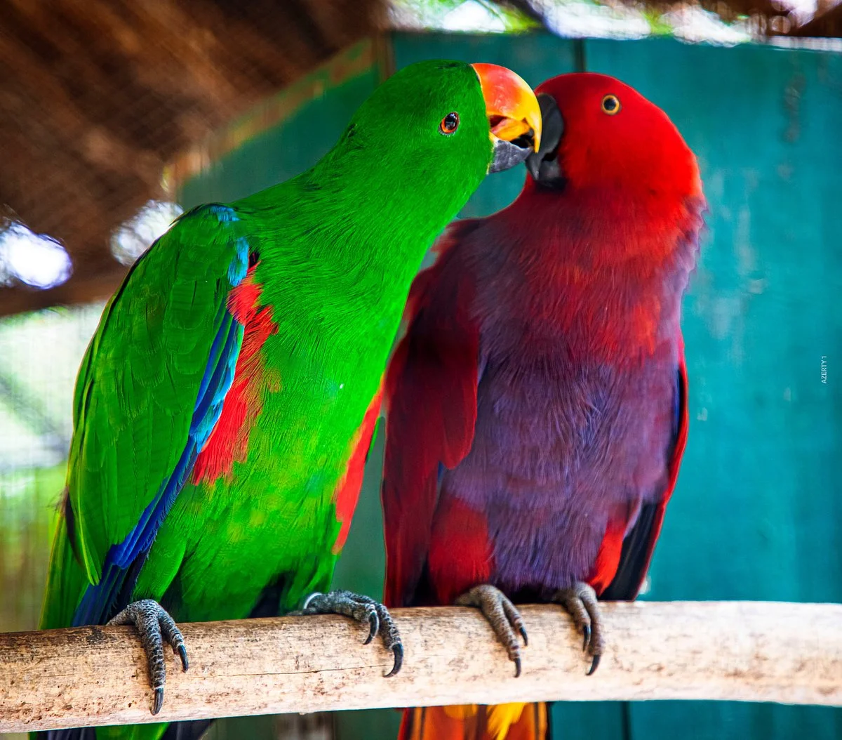Parc Exotique Du Sénégal