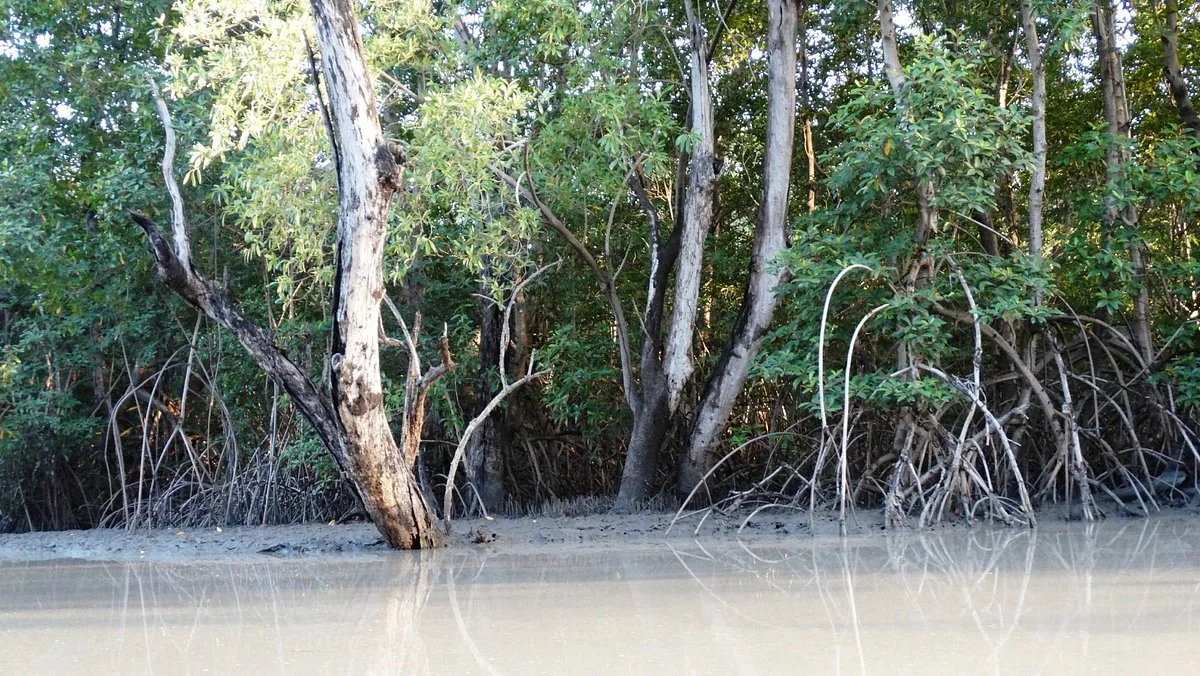 Kiang West National Park