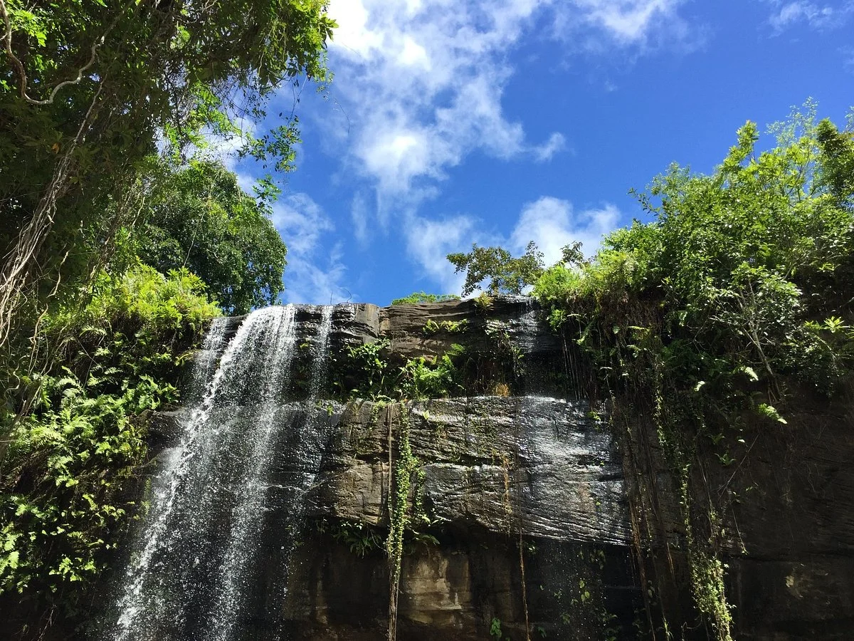 Sheldrick Falls