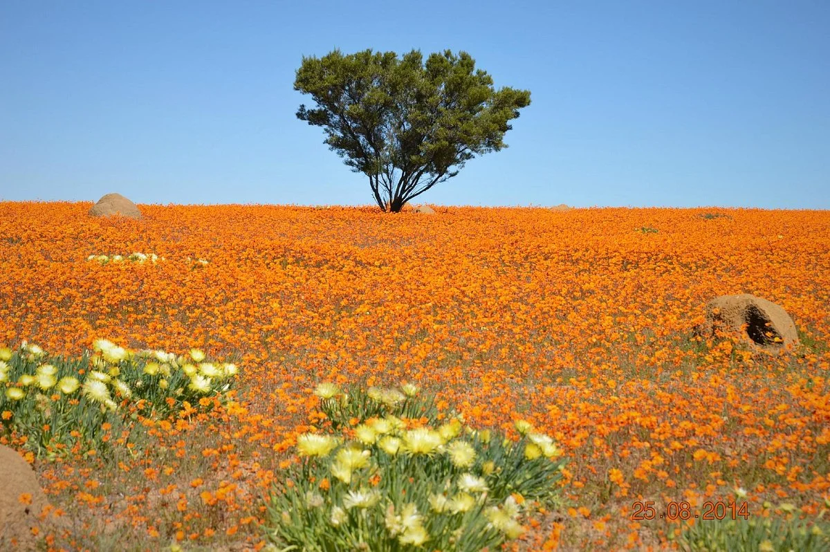 Springbok Park National Monument