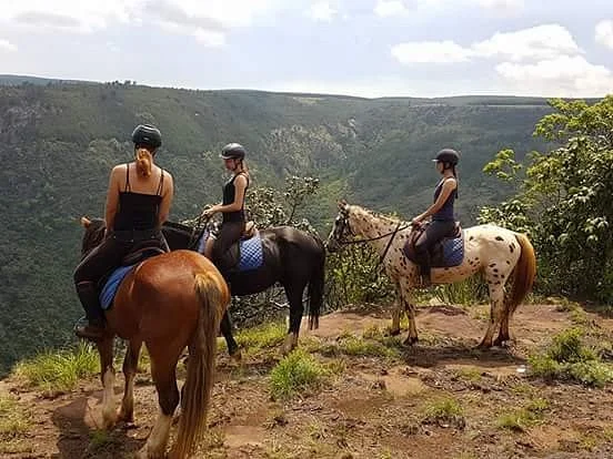 Kaapsehoop Horse Trails Volunteer Project