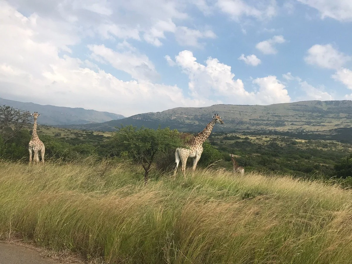 Ithala Game Reserve