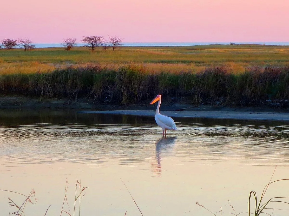 Nata Bird Sanctuary