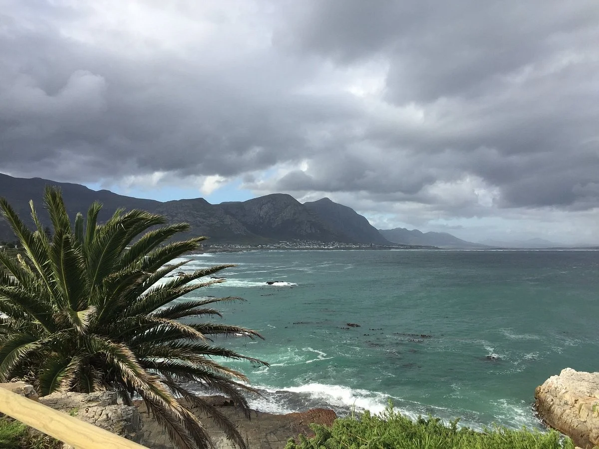 Cape Whale Coast