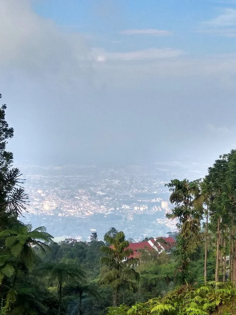 Bukit Larut