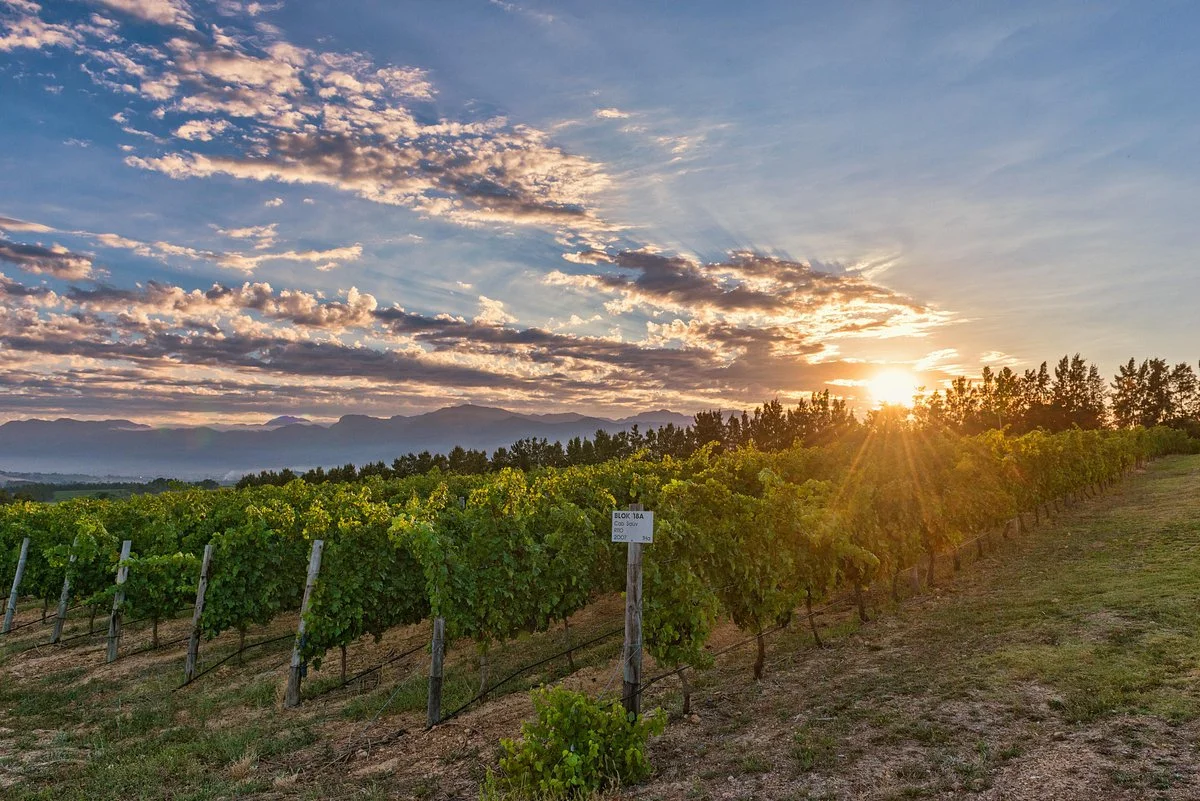 Glen Carlou Vineyards