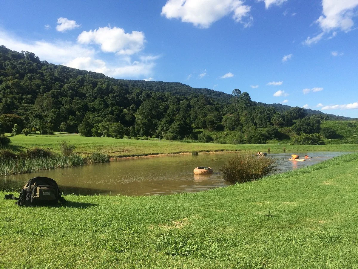 Bushwillow Park