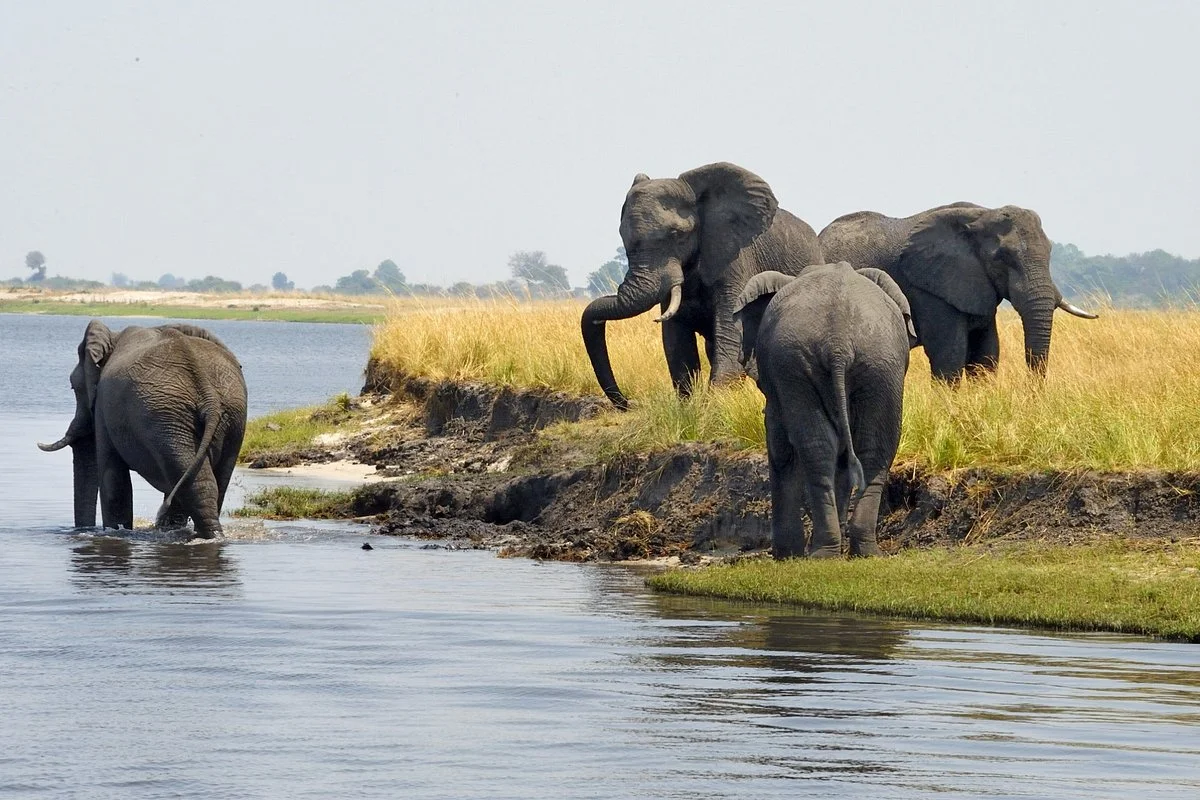 Serondela Reserve