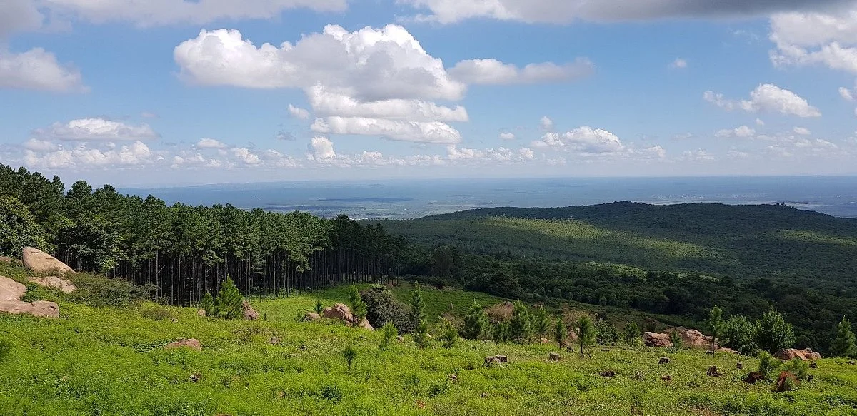 Hanglip Forest Reserve