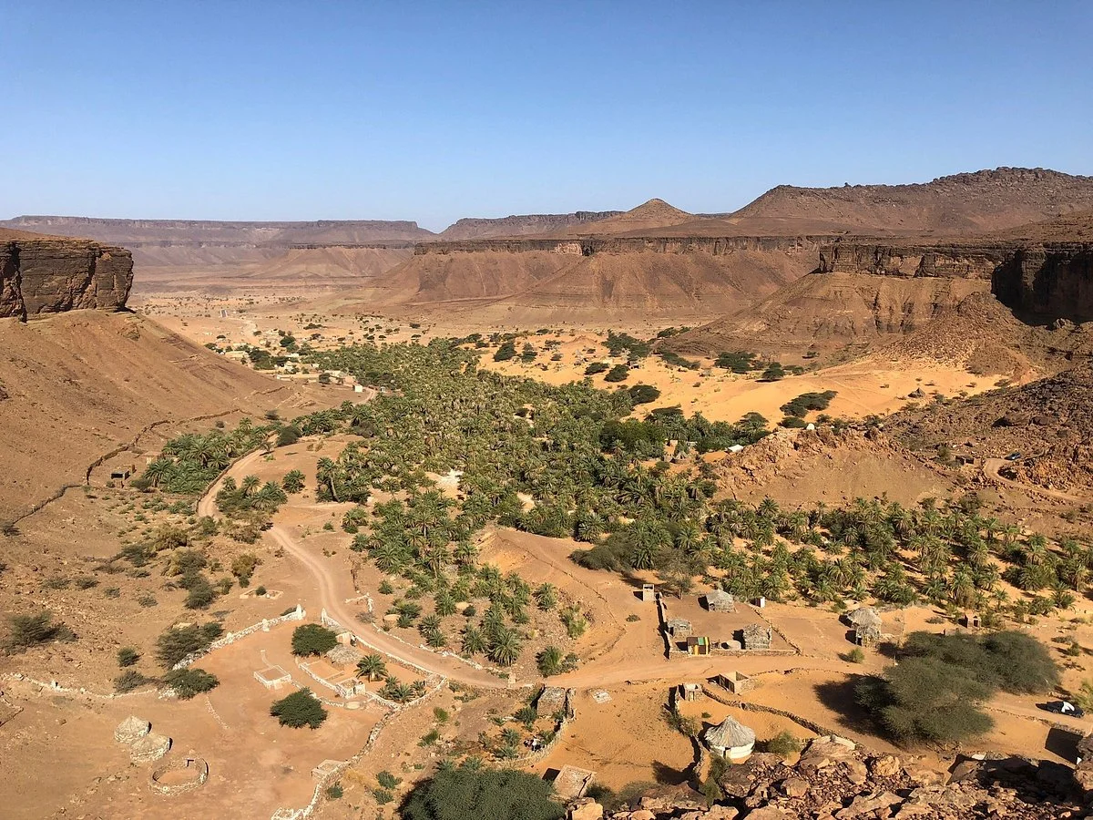 Terjit Oasis