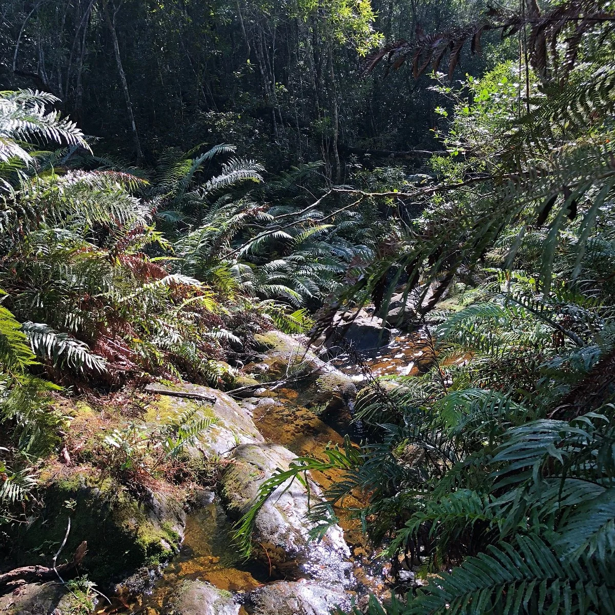 Terblans Nature Walk