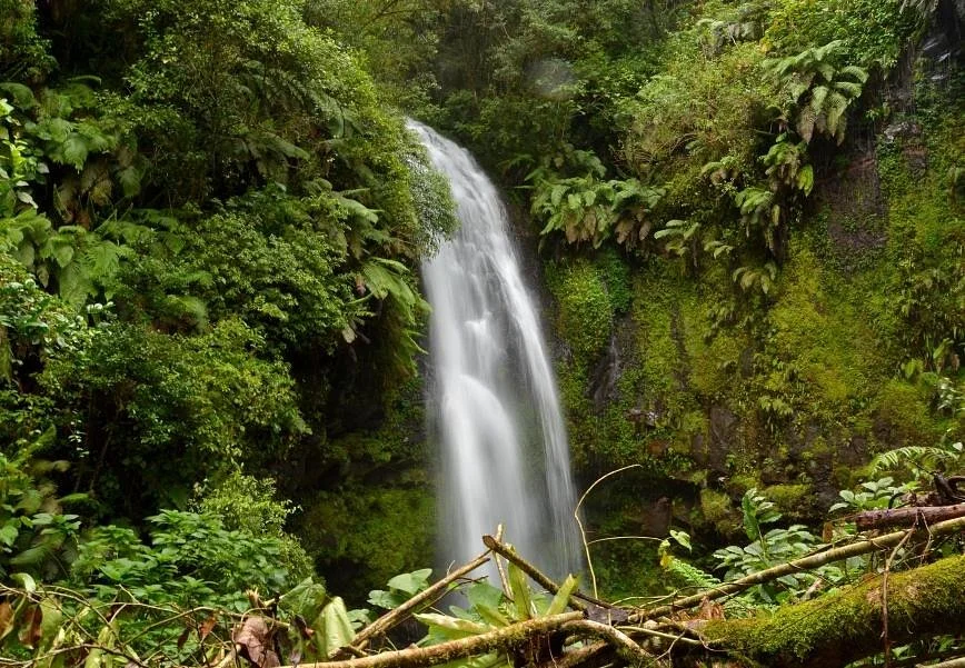Amber Mountain National Park