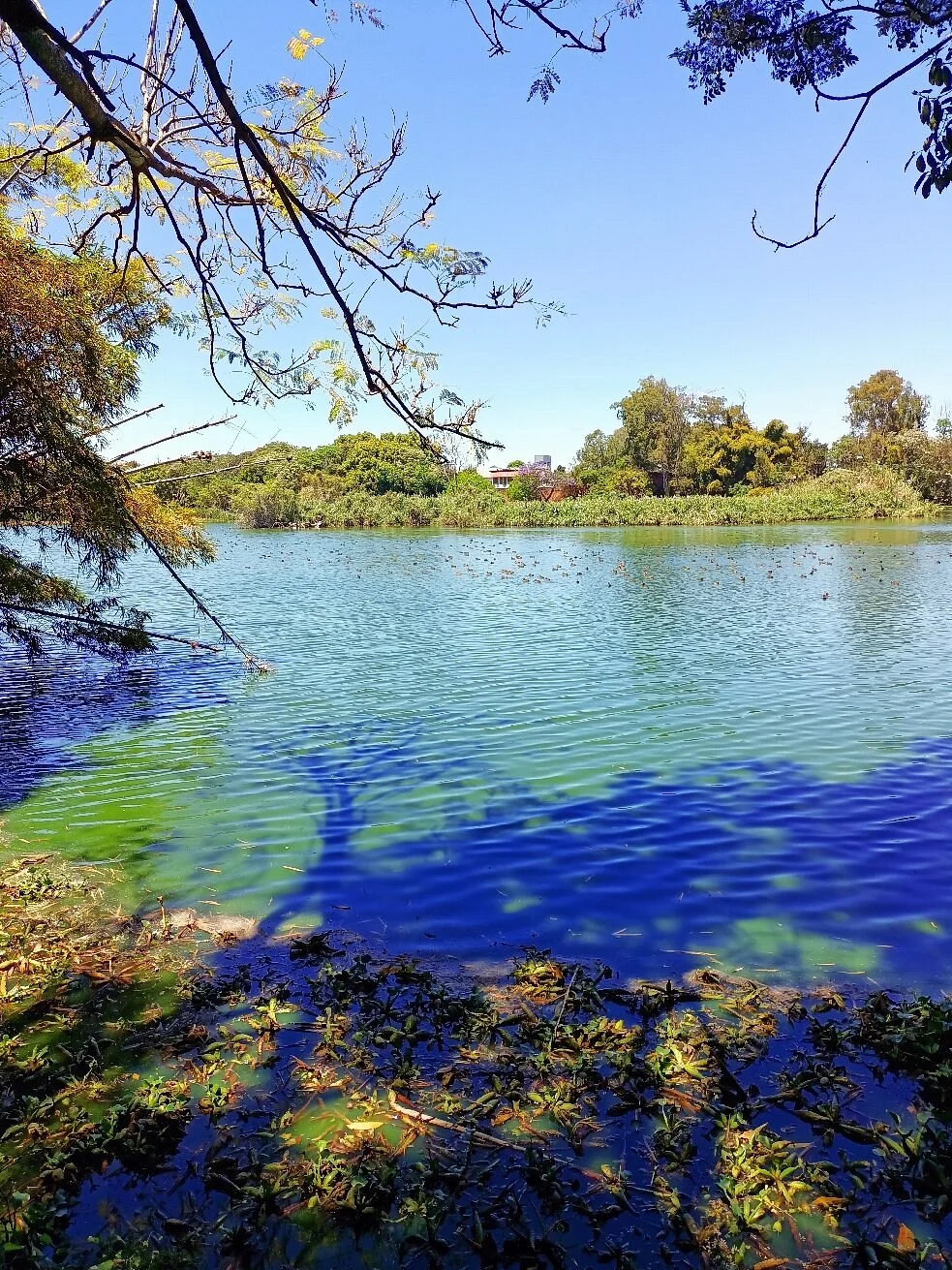 Parc Tsarasaotra